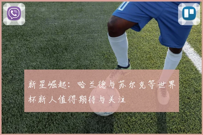 新星崛起：哈兰德与苏尔克等世界杯新人值得期待与关注